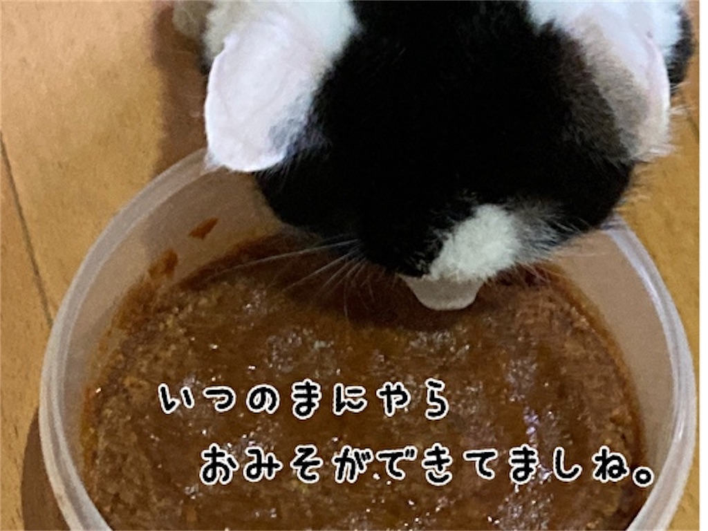 f:id:fukufukudo:20211020171851j:plain