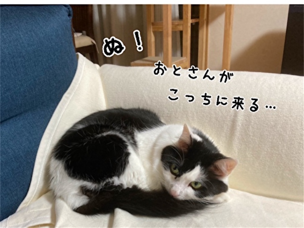 f:id:fukufukudo:20211023145038j:plain