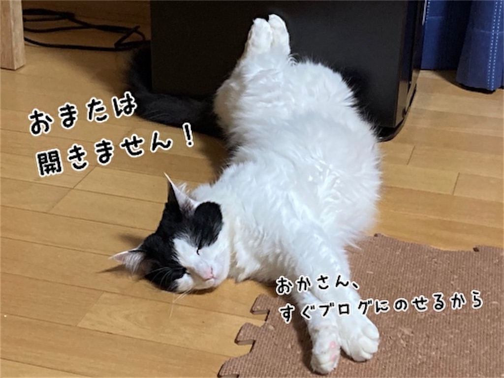 f:id:fukufukudo:20211023145047j:plain