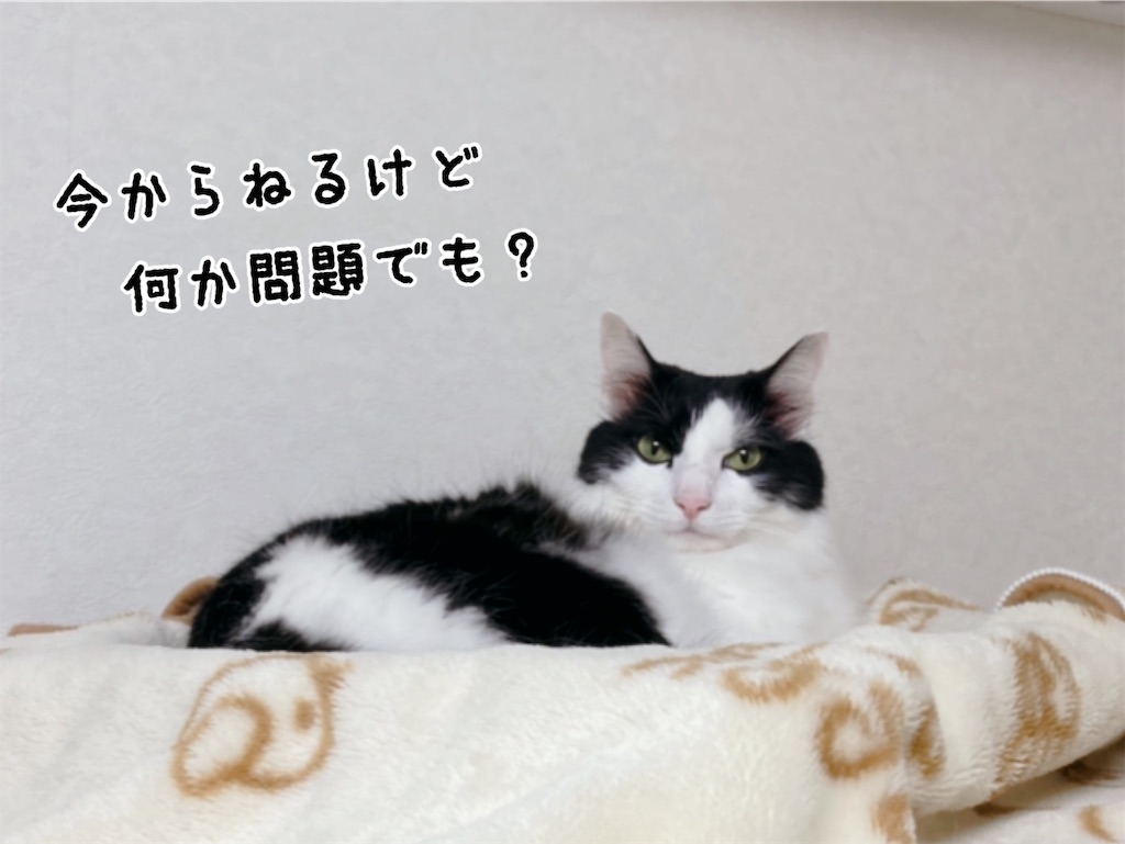 f:id:fukufukudo:20211023145101j:plain