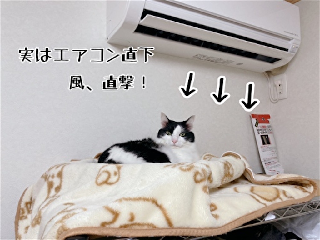 f:id:fukufukudo:20211023145127j:plain