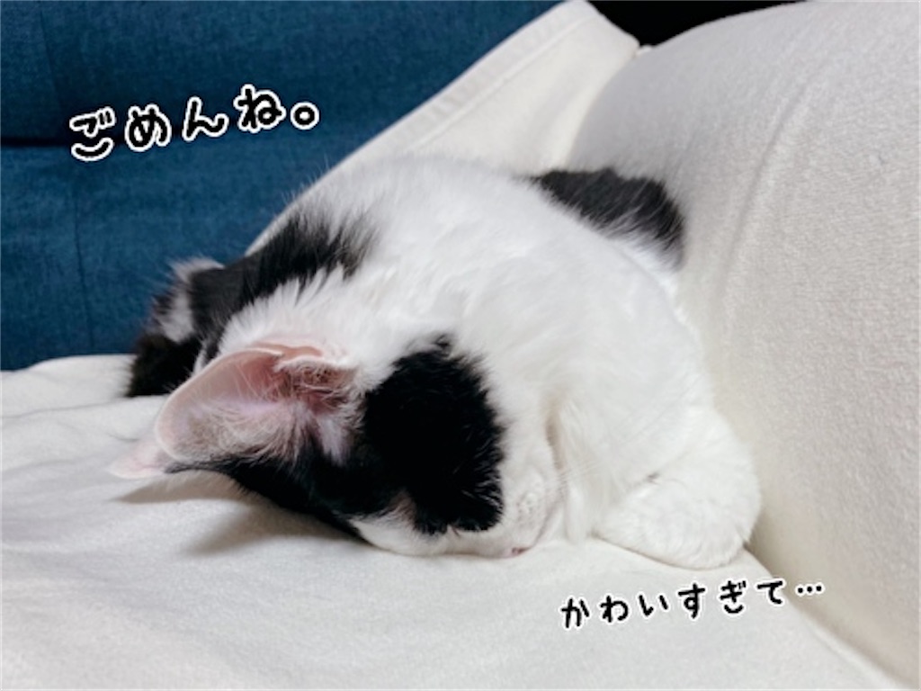 f:id:fukufukudo:20211023194452j:plain