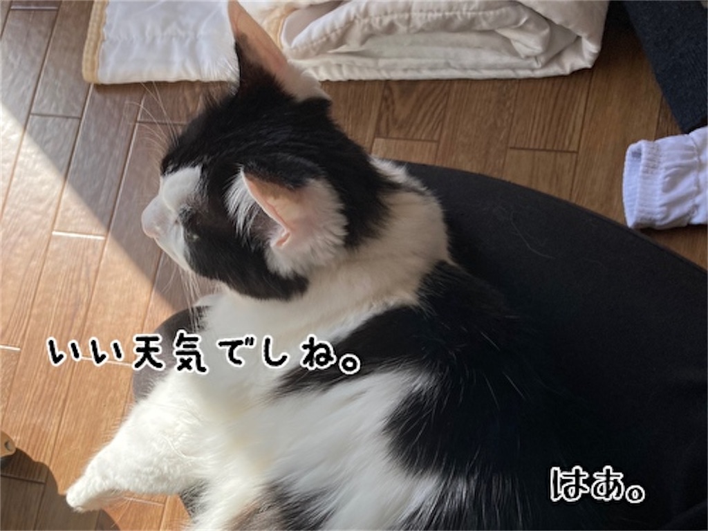 f:id:fukufukudo:20211025150538j:plain