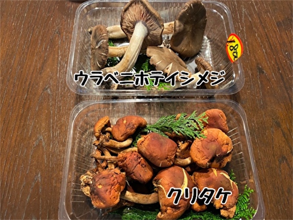 f:id:fukufukudo:20211025150554j:plain