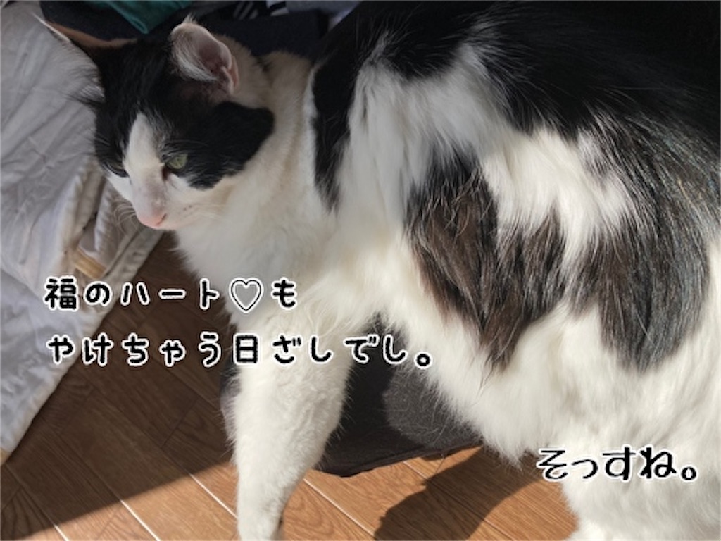 f:id:fukufukudo:20211025150636j:plain