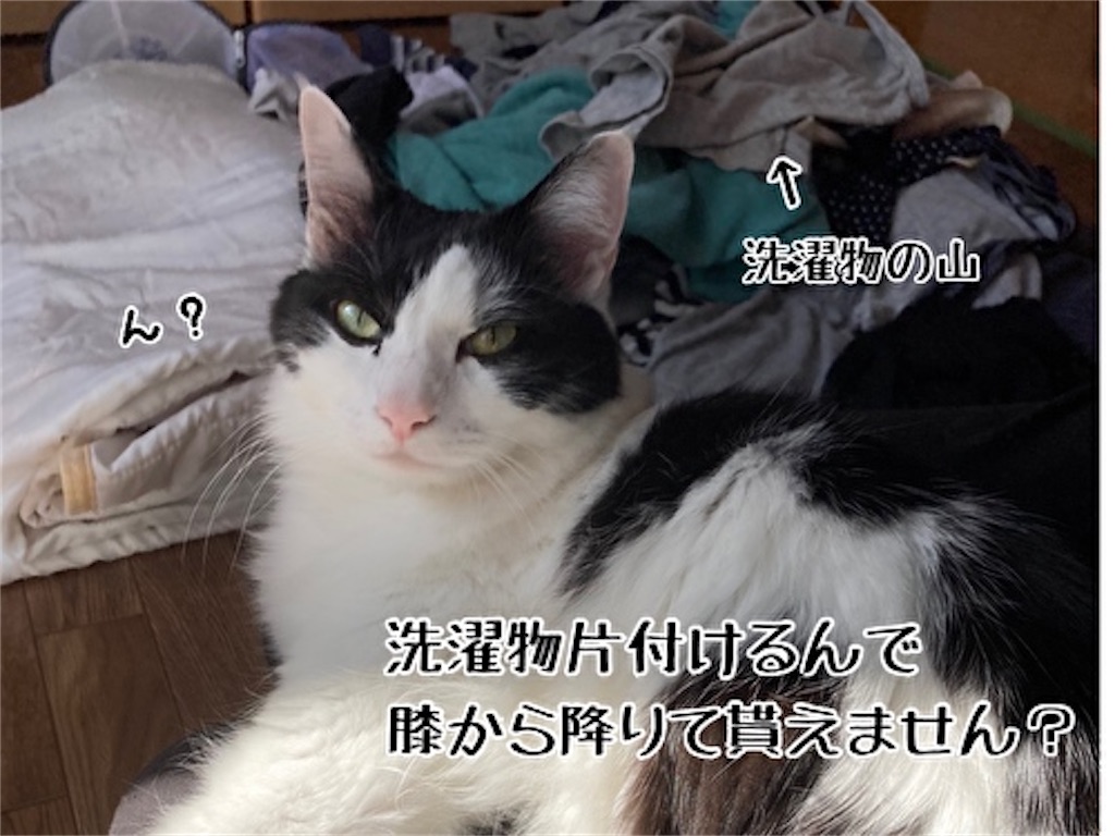 f:id:fukufukudo:20211025150730j:plain