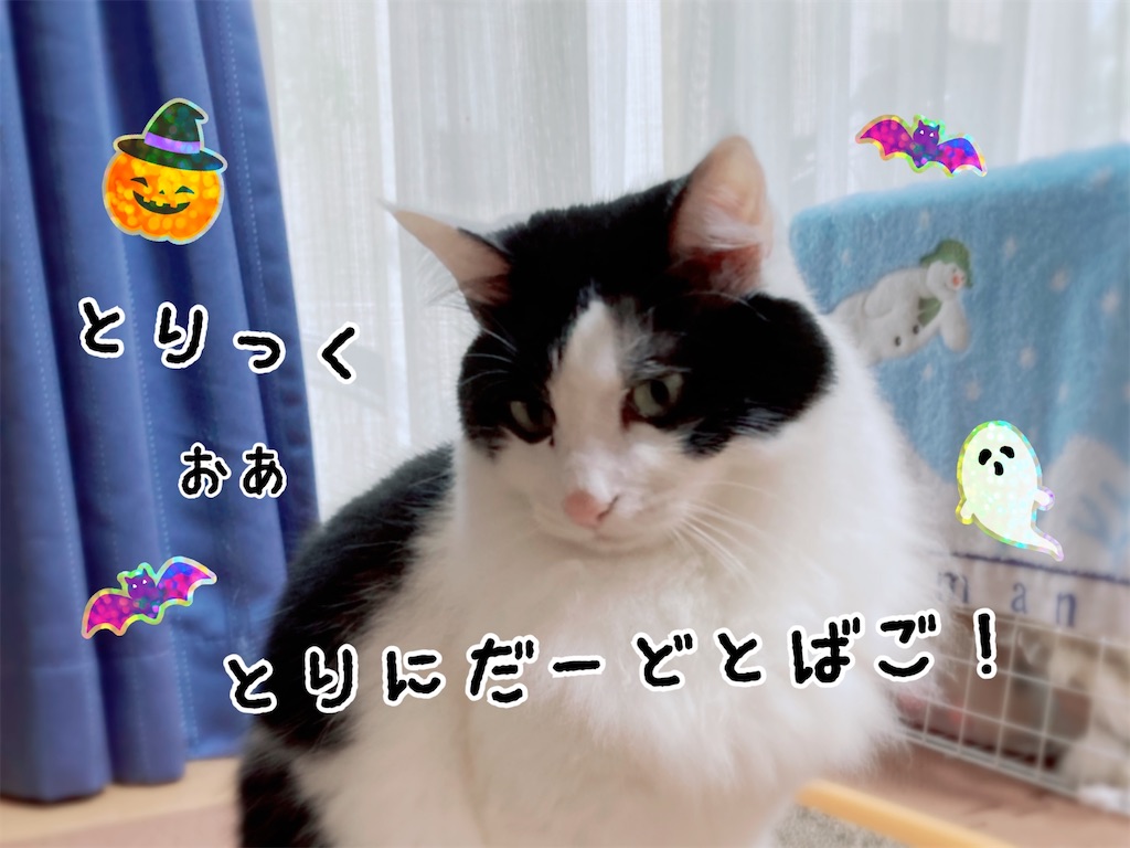 f:id:fukufukudo:20211029081545j:plain