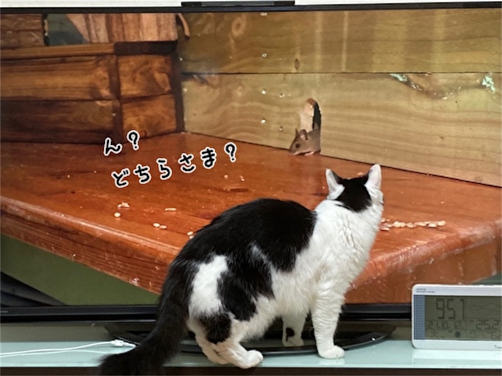 f:id:fukufukudo:20211031163815j:plain