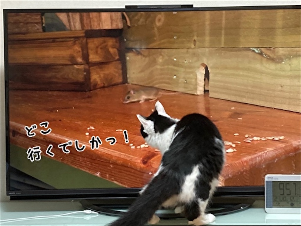 f:id:fukufukudo:20211031163832j:plain