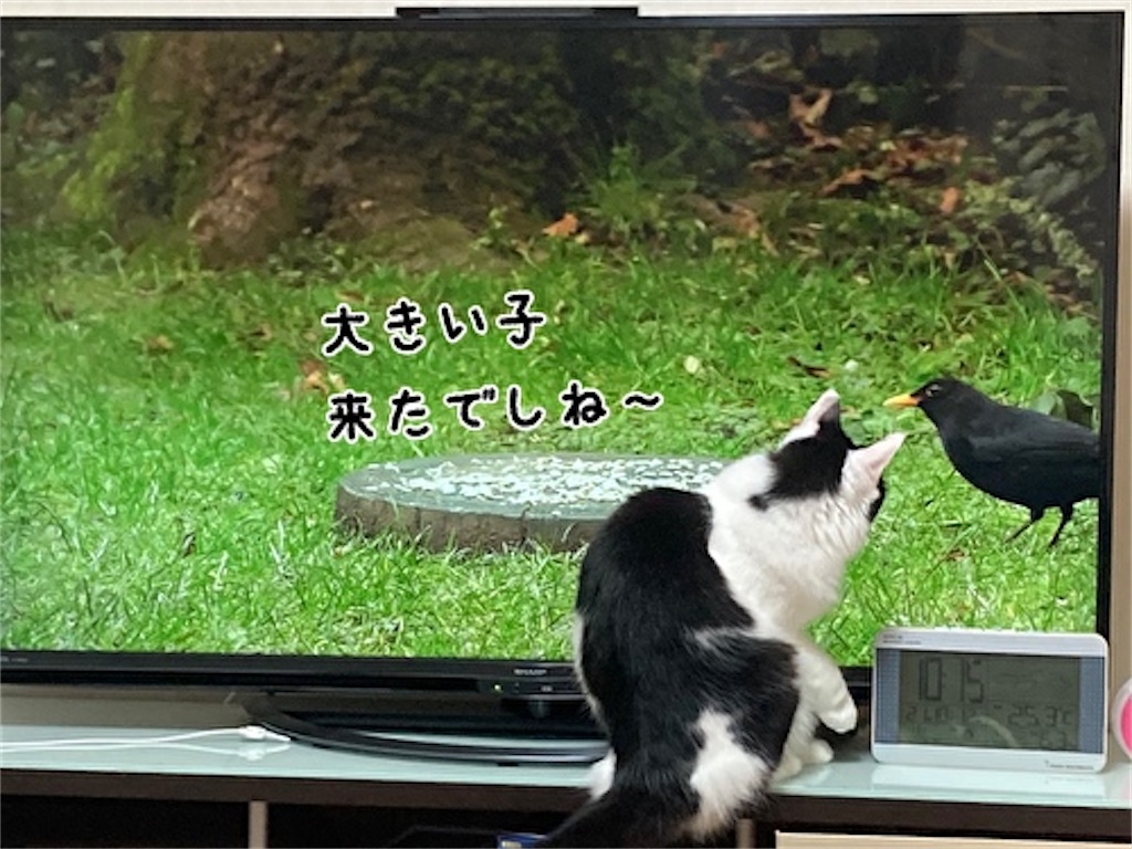 f:id:fukufukudo:20211031164144j:plain