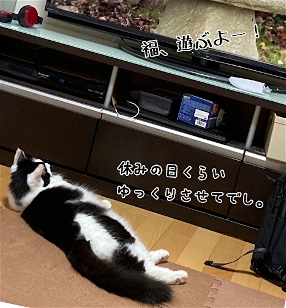 f:id:fukufukudo:20211031164223j:plain