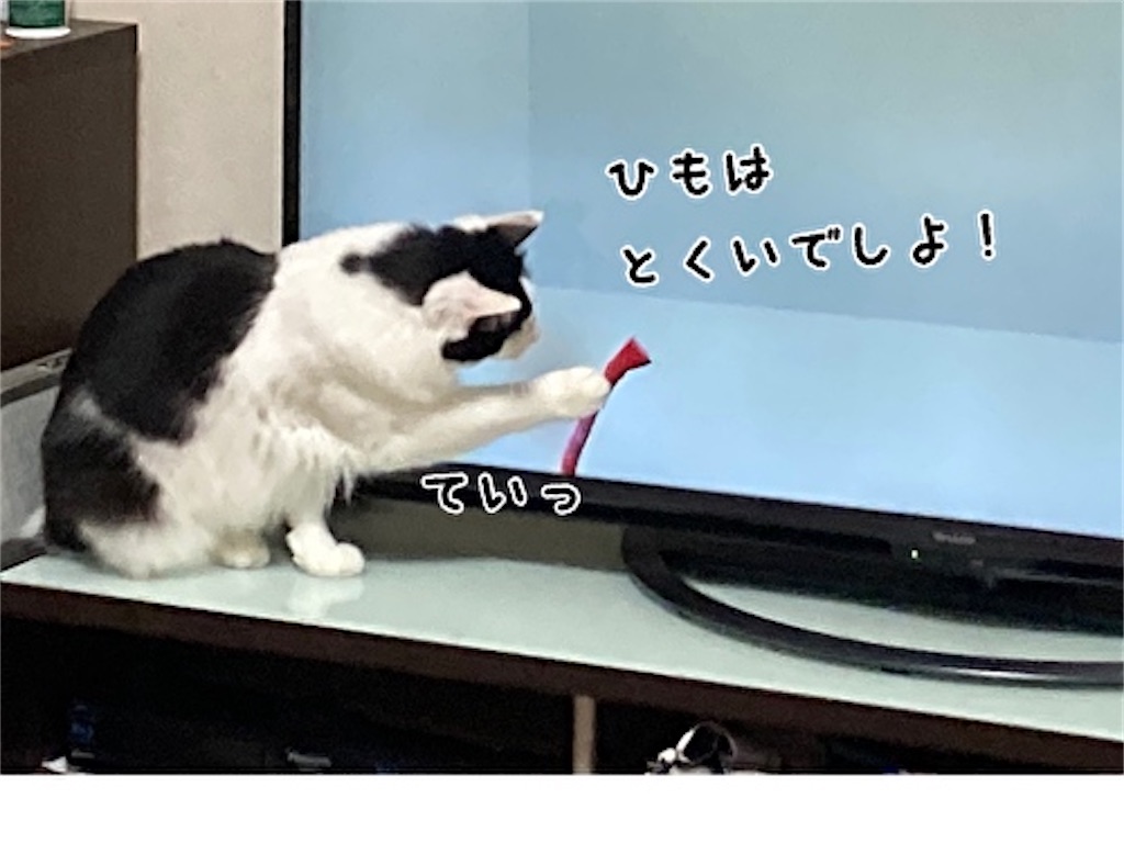 f:id:fukufukudo:20211031164239j:plain