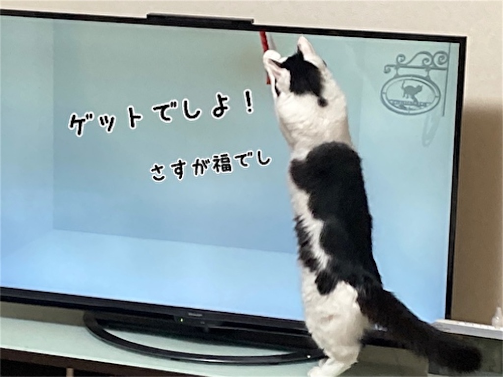 f:id:fukufukudo:20211031164255j:plain