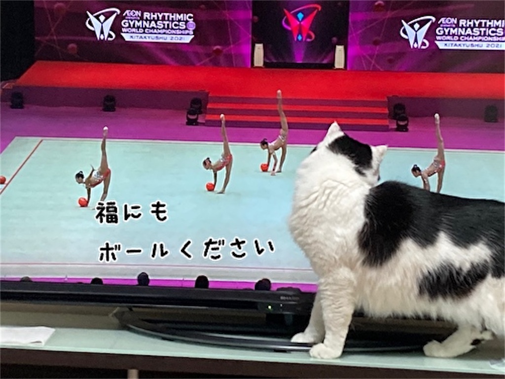 f:id:fukufukudo:20211031164349j:plain