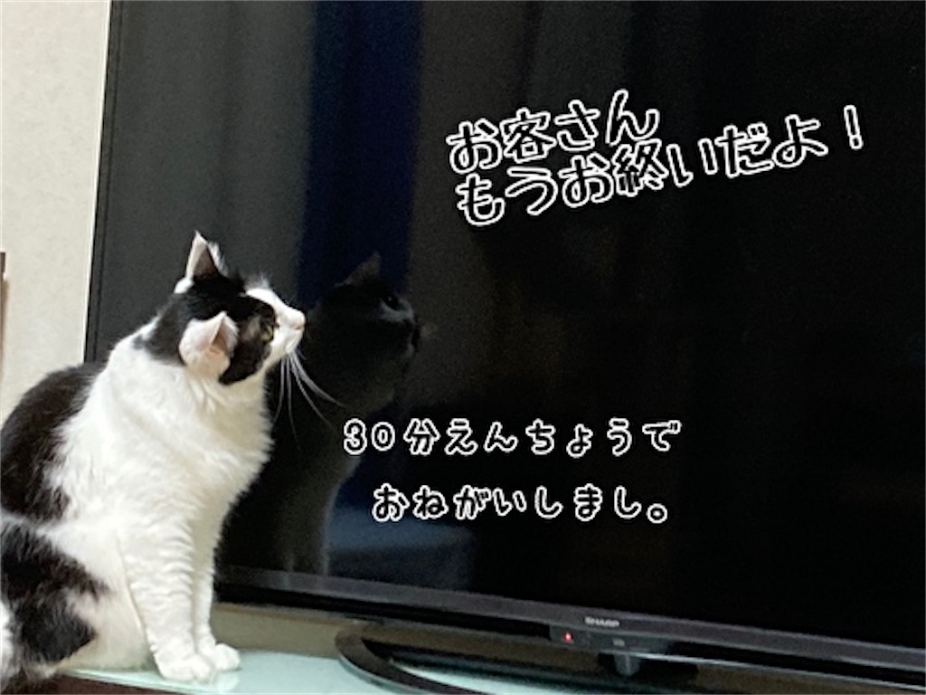 f:id:fukufukudo:20211101140417j:plain