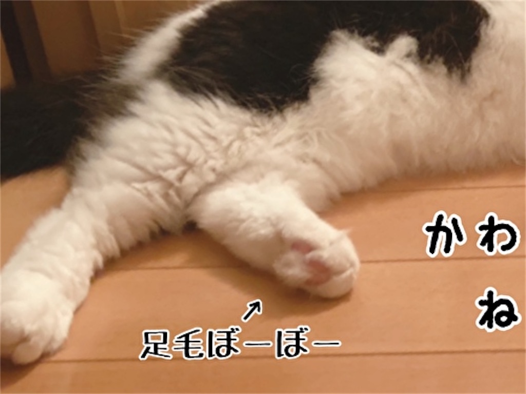 f:id:fukufukudo:20211110204448j:plain