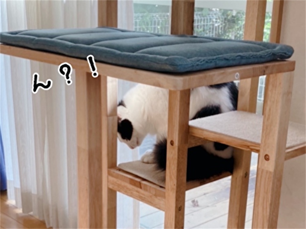 f:id:fukufukudo:20211110204520j:plain