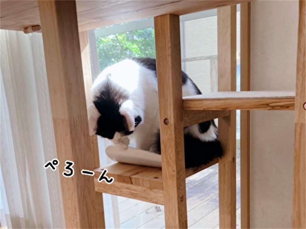 f:id:fukufukudo:20211110204542j:plain