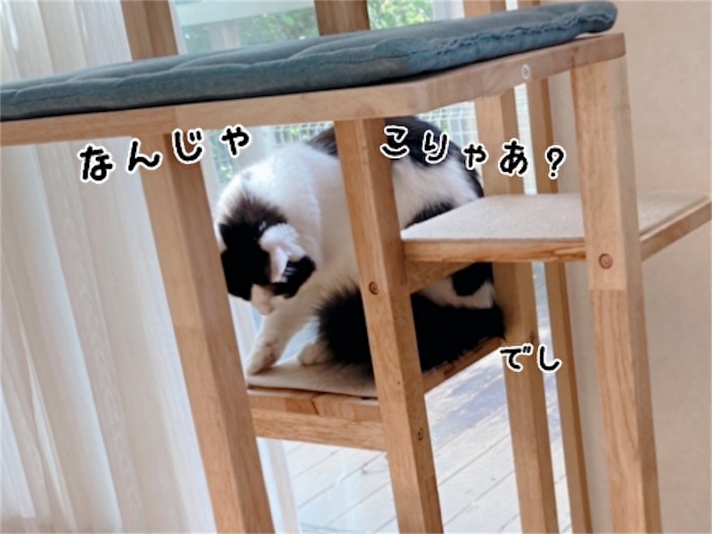 f:id:fukufukudo:20211110204553j:plain