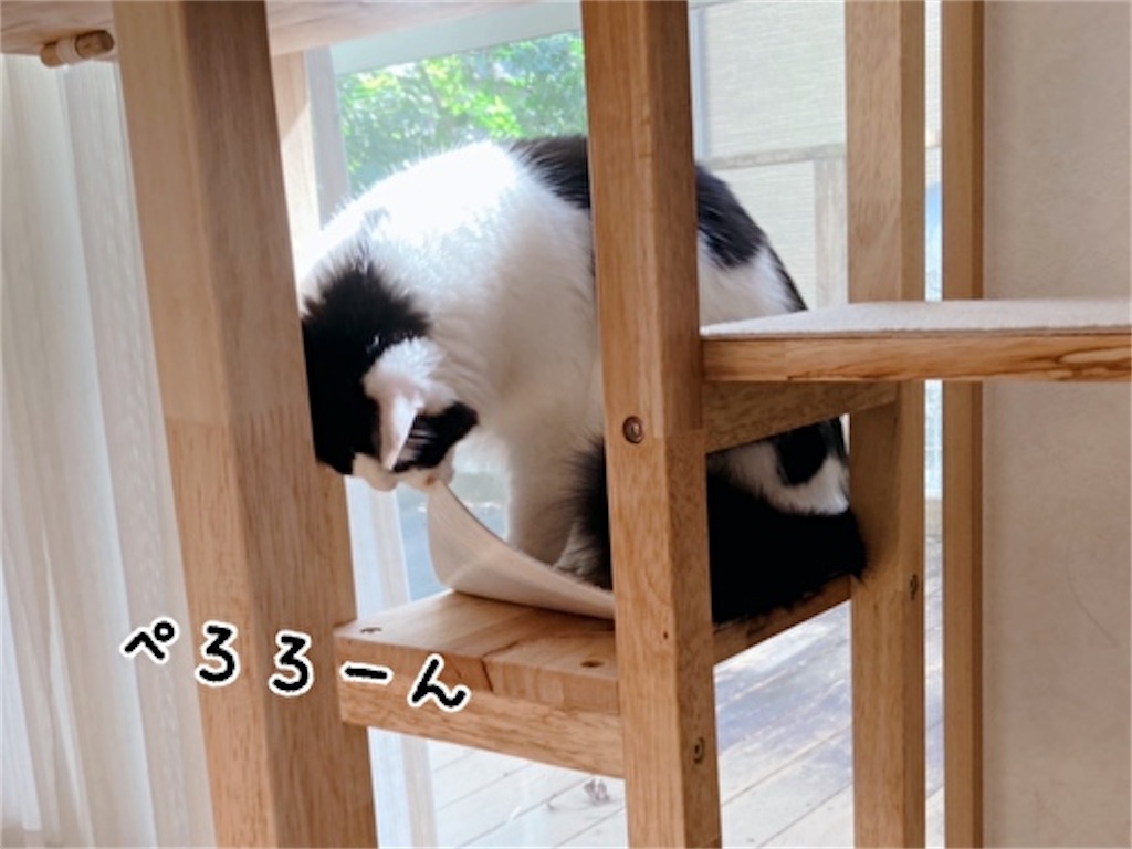 f:id:fukufukudo:20211110204615j:plain