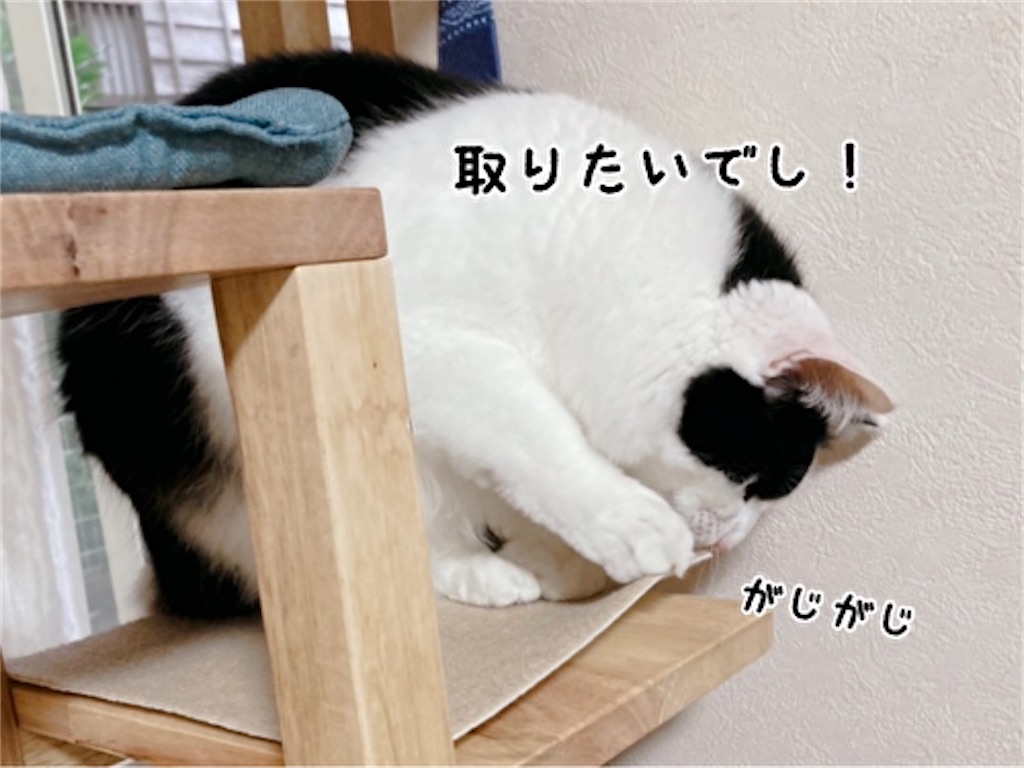 f:id:fukufukudo:20211110204636j:plain