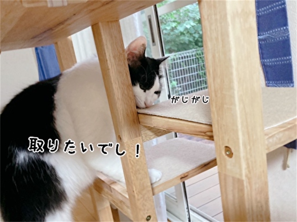 f:id:fukufukudo:20211110204645j:plain