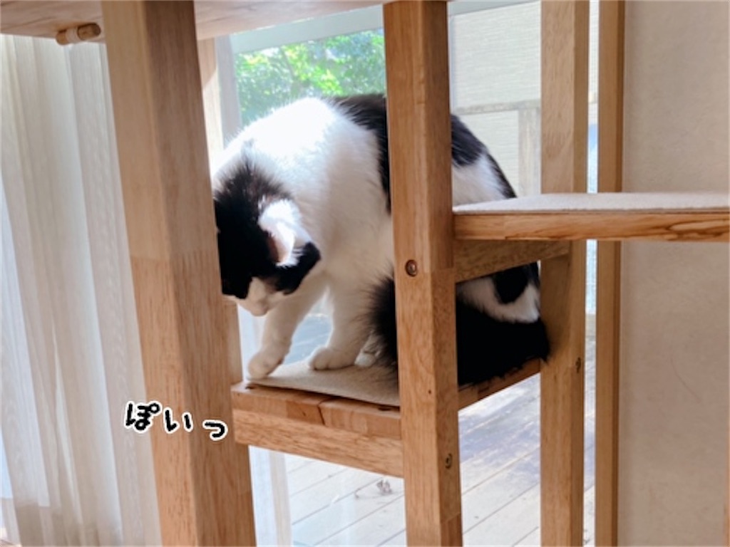 f:id:fukufukudo:20211111184440j:plain