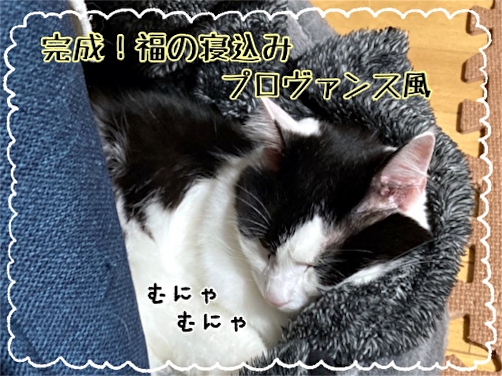 f:id:fukufukudo:20211118191017j:plain