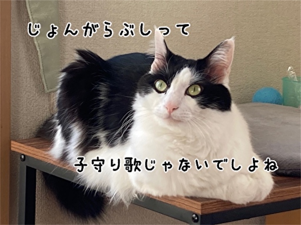 f:id:fukufukudo:20211118191025j:plain