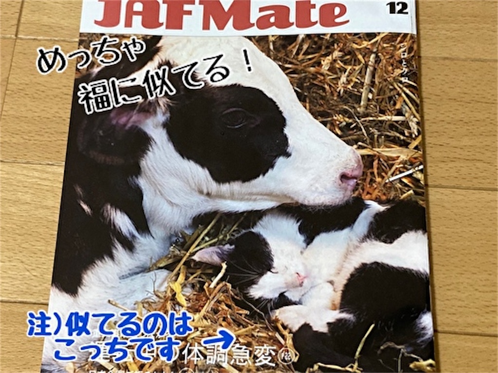 f:id:fukufukudo:20211118195826j:plain