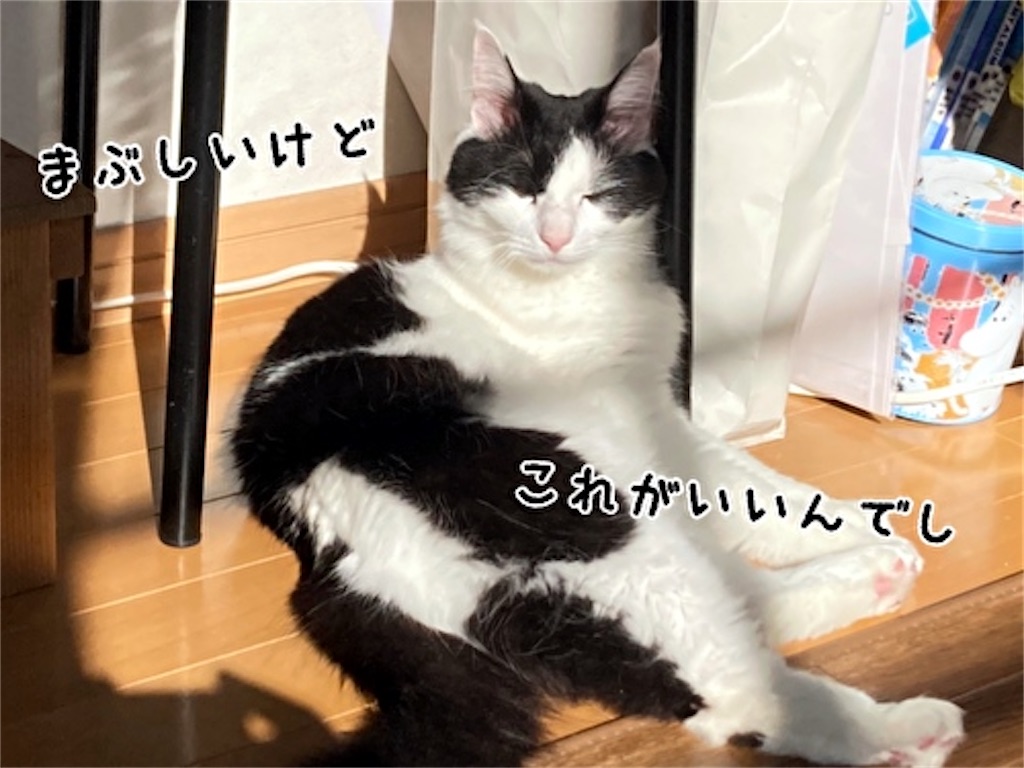 f:id:fukufukudo:20211122123632j:plain