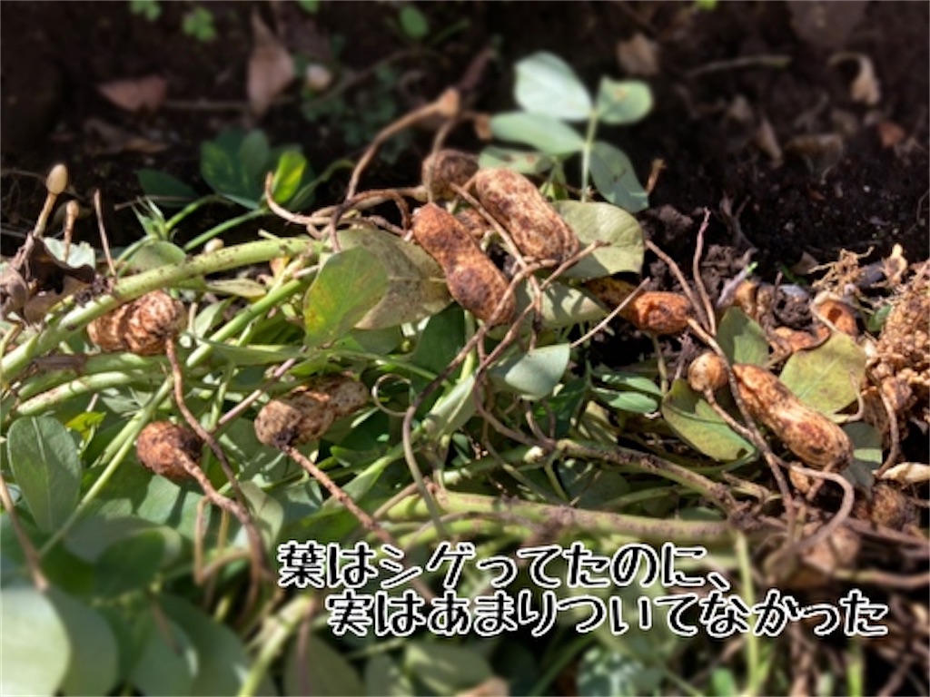 f:id:fukufukudo:20211122124227j:plain