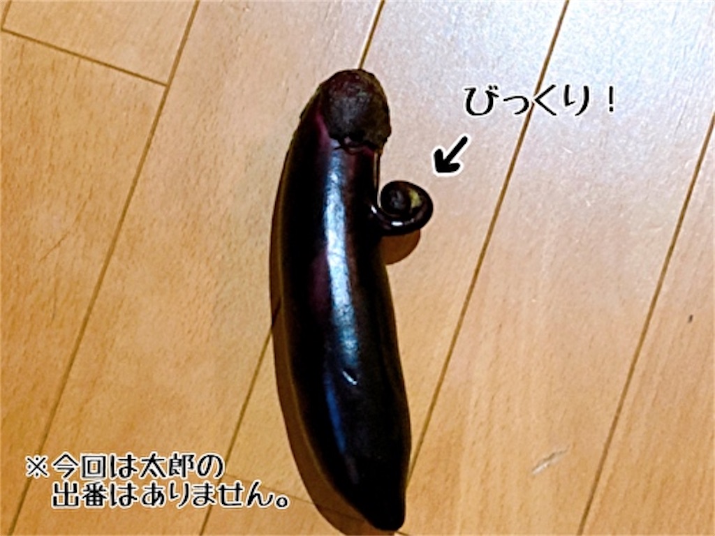 f:id:fukufukudo:20211122124528j:plain