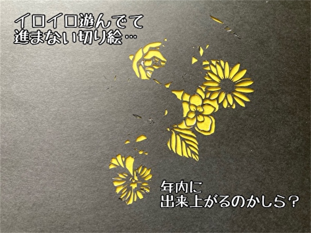 f:id:fukufukudo:20211122144457j:plain