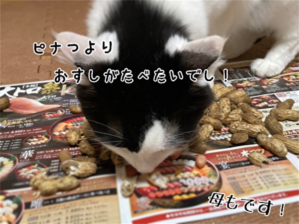 f:id:fukufukudo:20211122181813j:plain