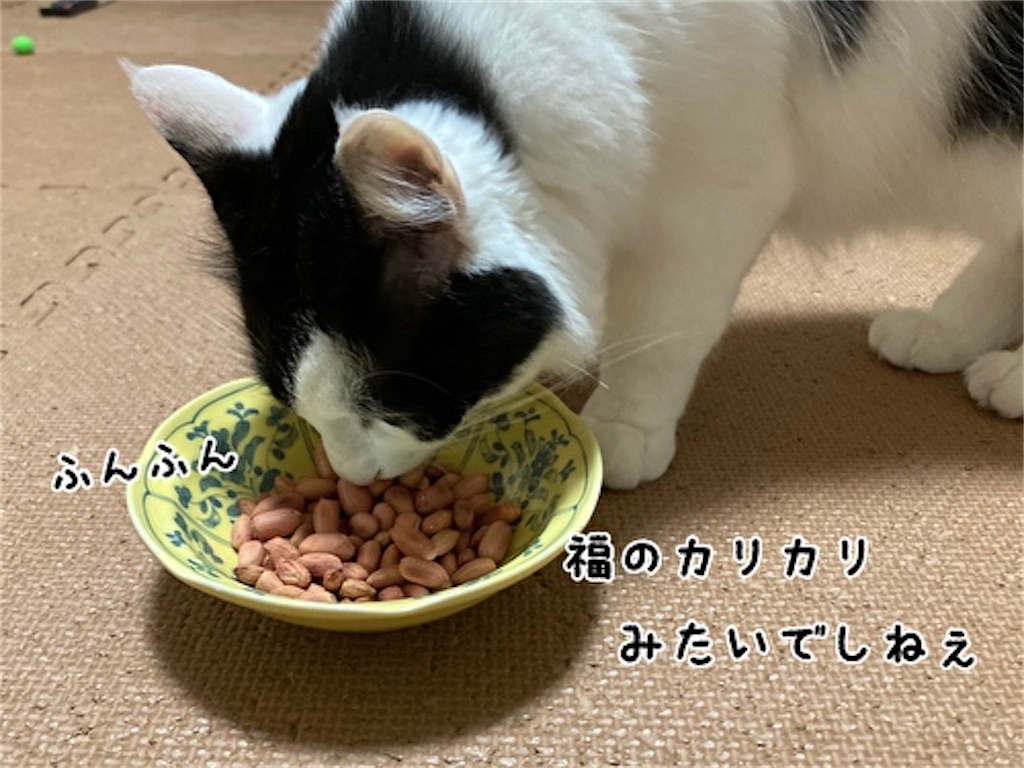 f:id:fukufukudo:20211122184228j:plain