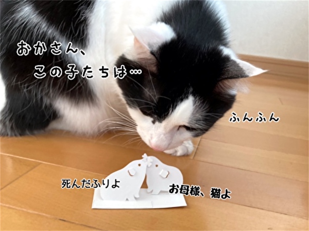 f:id:fukufukudo:20211124165715j:plain