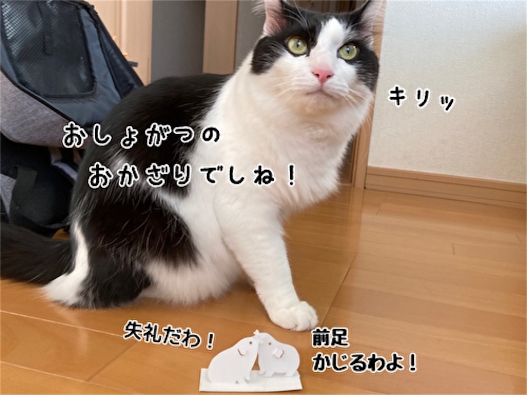 f:id:fukufukudo:20211124165732j:plain