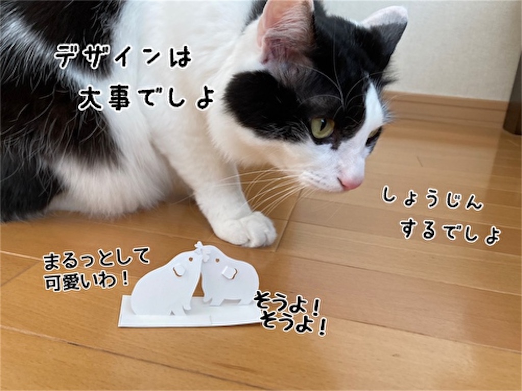 f:id:fukufukudo:20211124165759j:plain