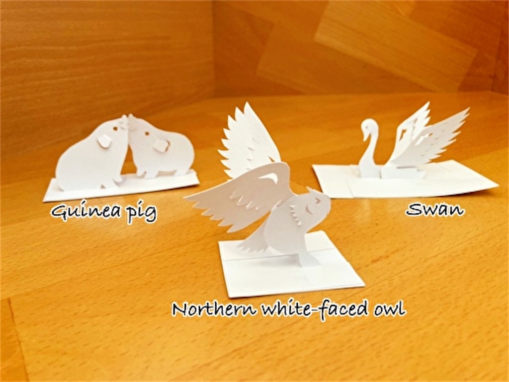 f:id:fukufukudo:20211124165925j:plain