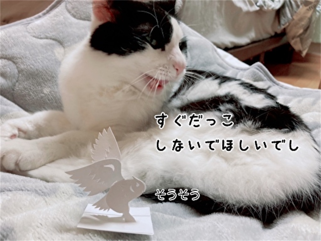 f:id:fukufukudo:20211124183741j:plain