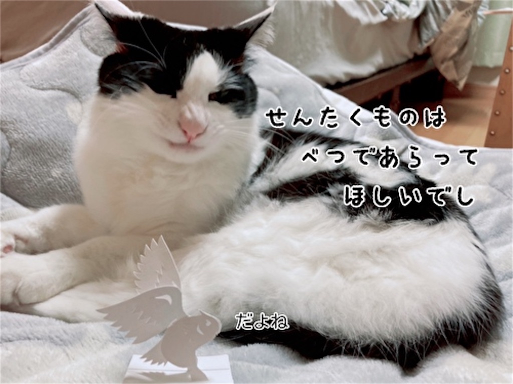 f:id:fukufukudo:20211124183811j:plain