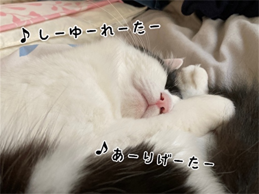 f:id:fukufukudo:20211125132305j:plain