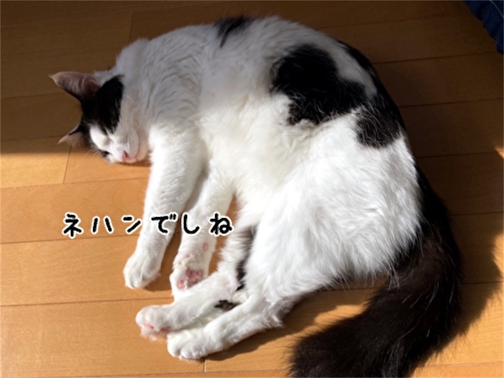 f:id:fukufukudo:20211130134107j:plain