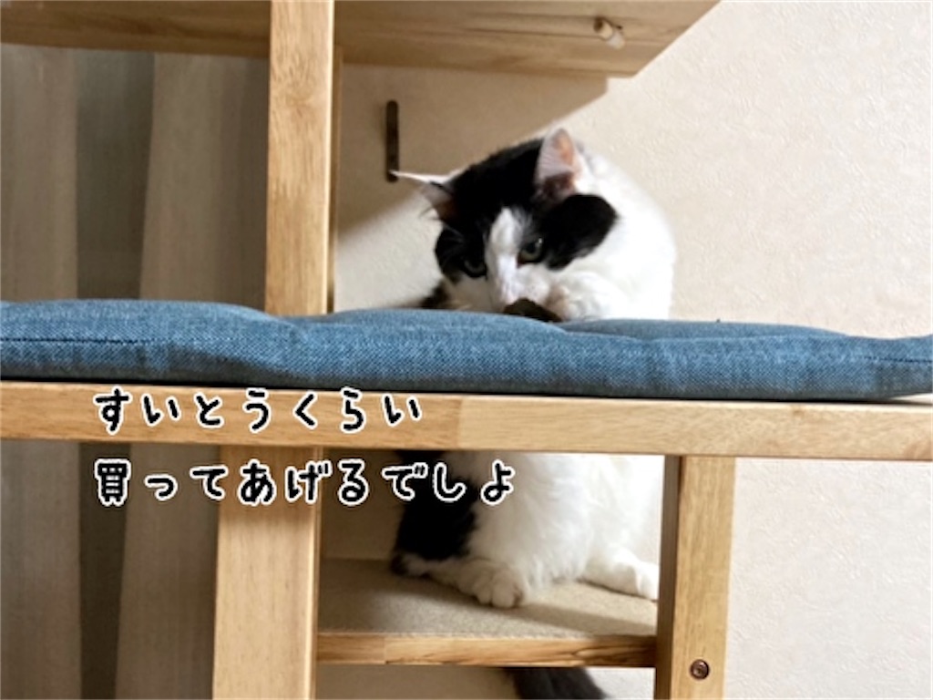 f:id:fukufukudo:20211130134134j:plain