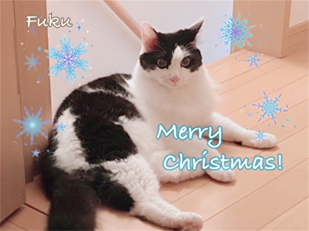 f:id:fukufukudo:20211130135416j:plain