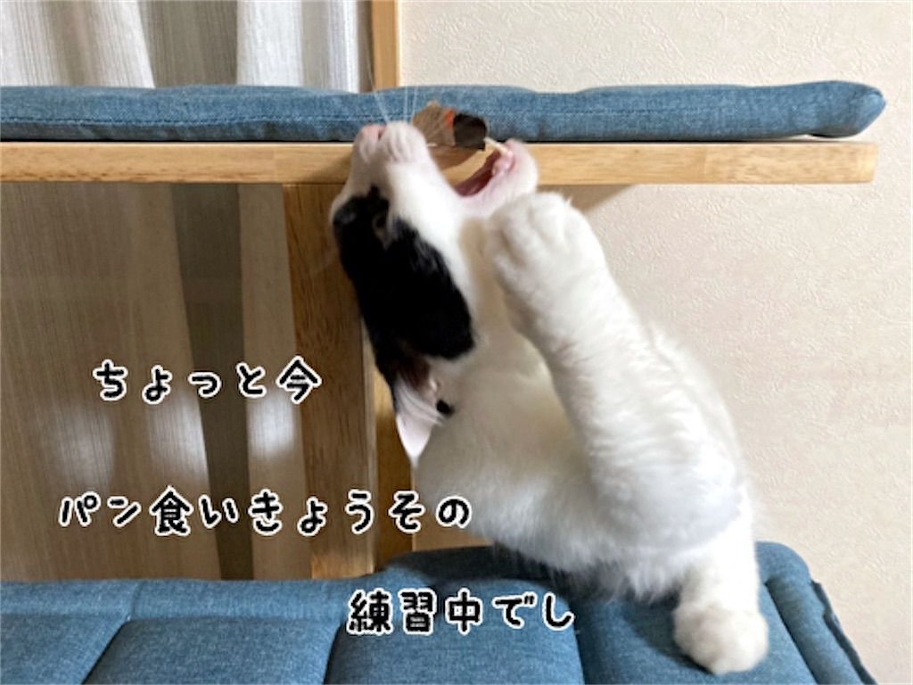f:id:fukufukudo:20211201095236j:plain