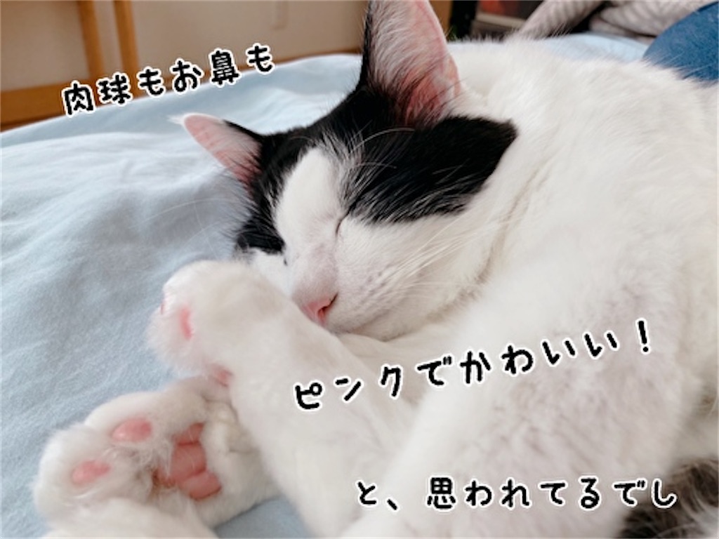 f:id:fukufukudo:20211204080132j:plain