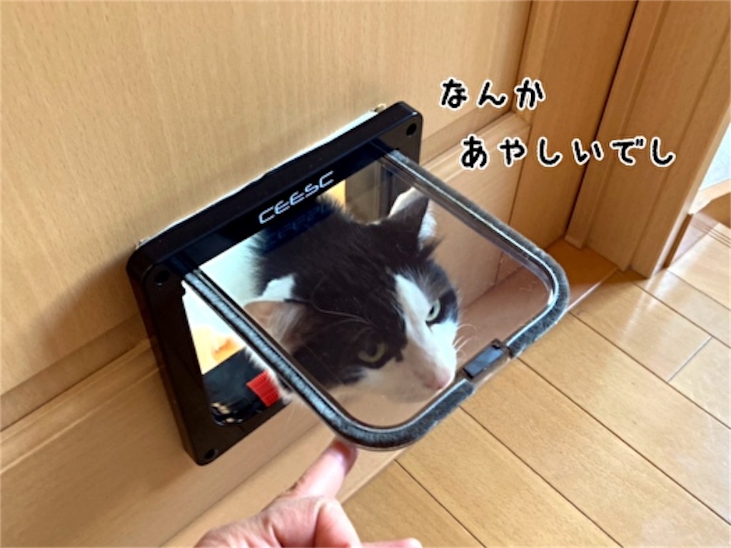 f:id:fukufukudo:20211204080144j:plain