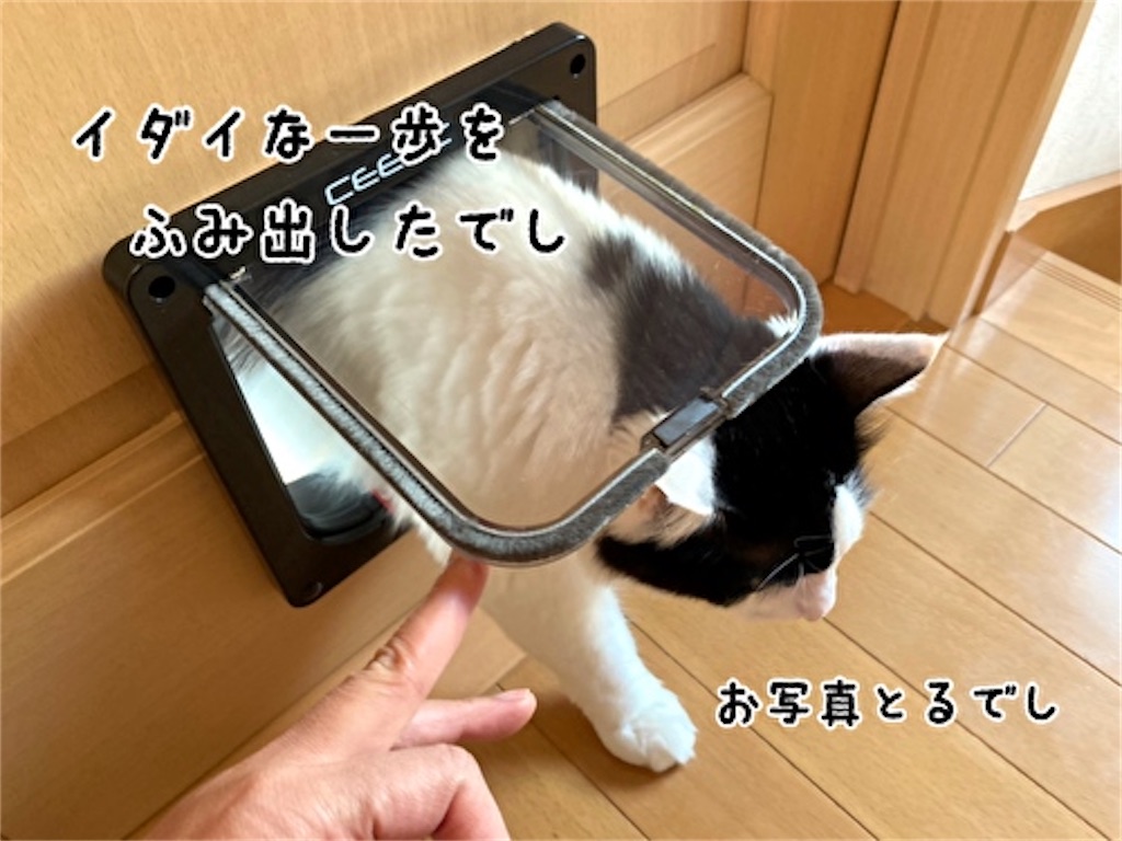 f:id:fukufukudo:20211204080148j:plain